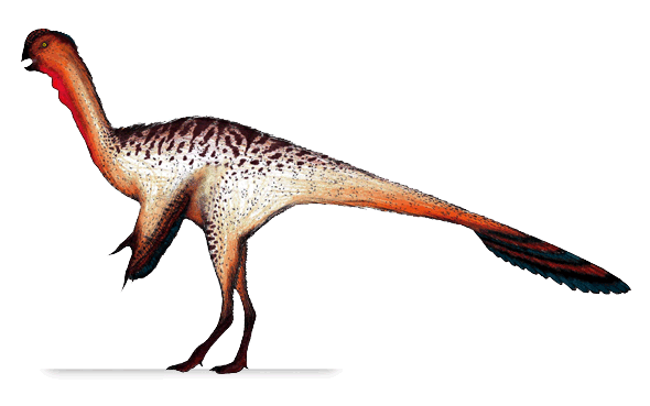 nankangia-jiangxiensis.png