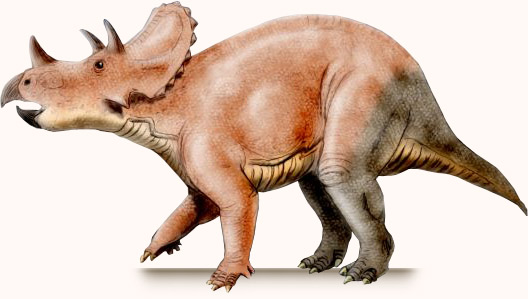 tatankaceratops-sacrisonorum