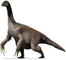 Therizinosauridae