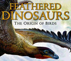 Feathered dinosaurs from around the world