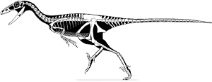 Troodontidae