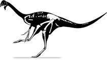 Wulatelong gobiensis