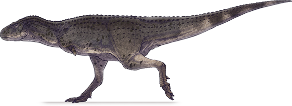 aucasaurus.png