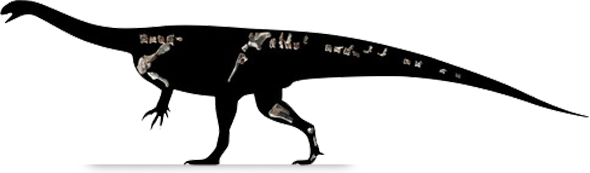 musango