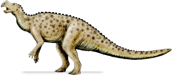 muttaburrasaurus