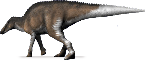 riabininohadros