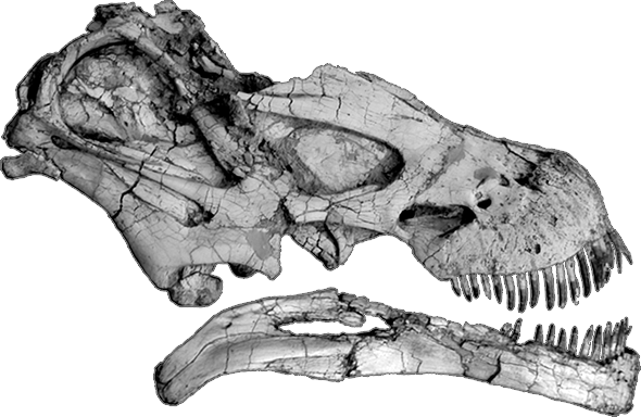 tapuiasaurus