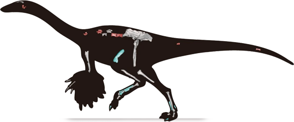 tyrannomimus
