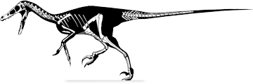 Linheraptor