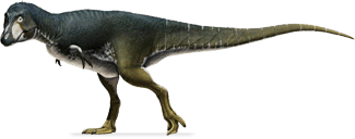 Lythronax