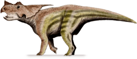 Achelousaurus