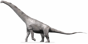 Alamosaurus sanjuanensis