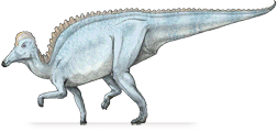 amurosaurus