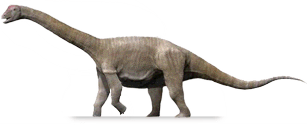 aragosaurus.png