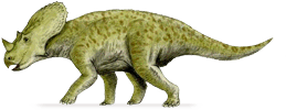 brachyceratops.png