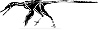 buitreraptor.png