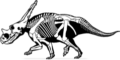 chasmosaurus.png