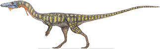coelophysis.png