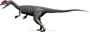 Dilophosauridae