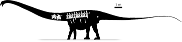 dinheirosaurus.png