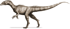 dracoraptor.png