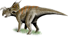 Einiosaurus procurvicornis