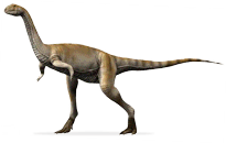 elaphrosaurus.png