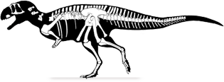 eoabelisaurus