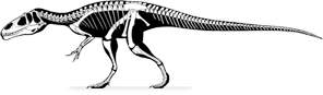 eustreptospondylus-skel.png