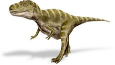 gorgosaurus