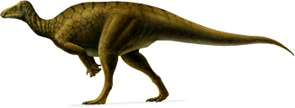 hippodraco.png