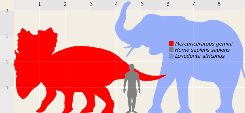 mercuriceratops-size.png