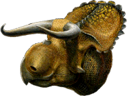 Nasutoceratops