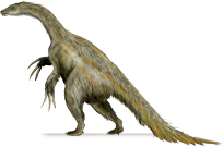 nothronychus