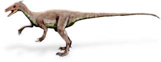 ornitholestes