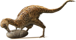 Qiupanykus by Zhao Chuang