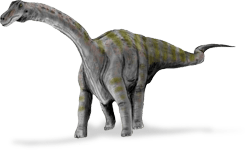 rapetosaurus krausei