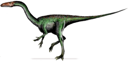 segisaurus