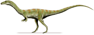 shuvosaurus