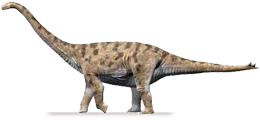 spinophorosaurus