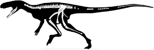 staurikosaurus