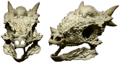 stygimoloch