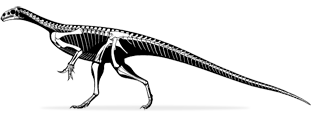 thecodontosaurus.png