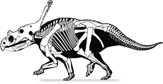 Vagaceratops