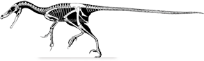 velociraptor