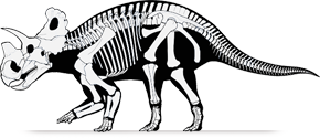 wendiceratops