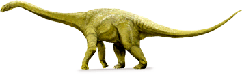 wintonotitan