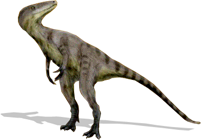 xiongguanlong.png