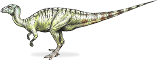 yueosaurus.png