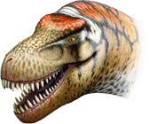 zhuchengtyrannus.png